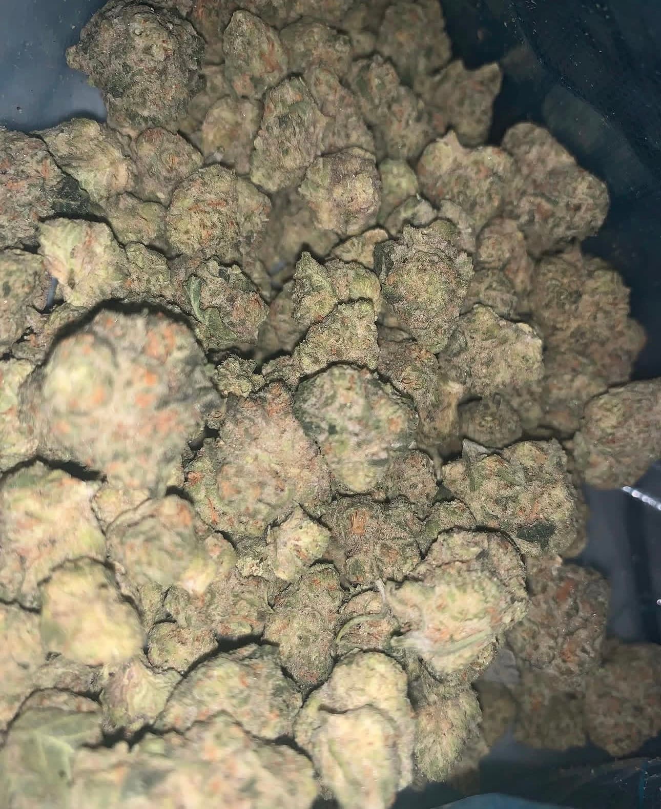 LONDON POUND CAKE