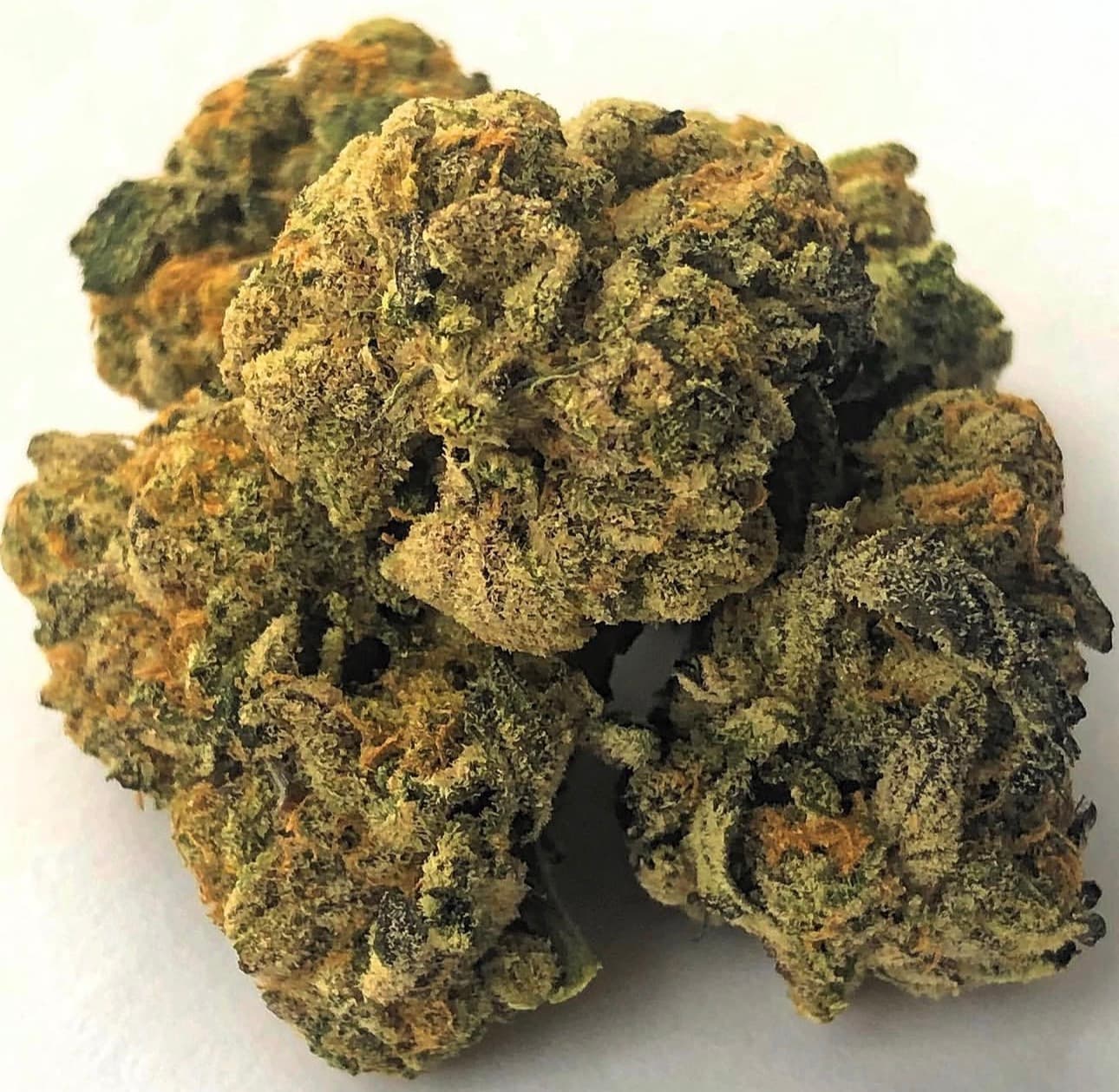 MYSTERY STRAIN