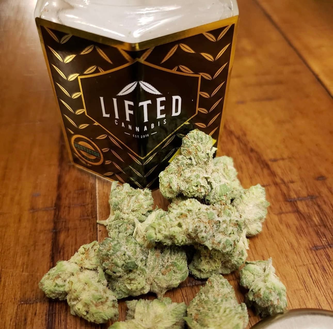 POPCORN STARDAWG